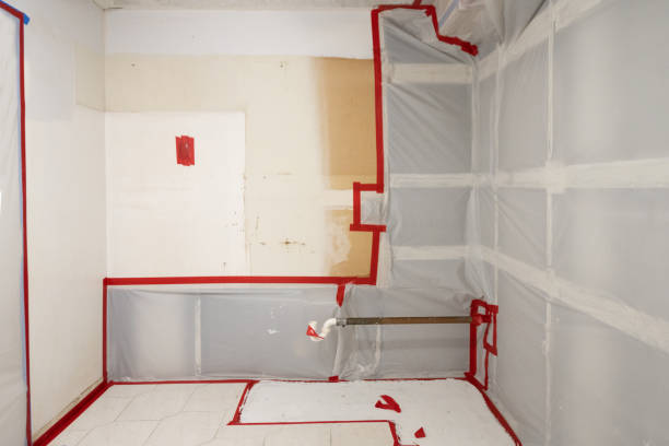 Best Comprehensive Air Testing for Mold Contaminants  in Ashland, MO